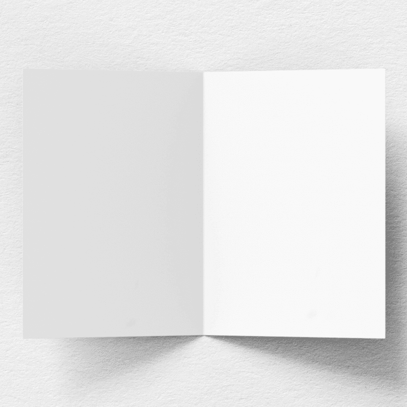 rendered_img_1_a15895ef-e059-4d26-95c9-59e16c4e6e46.png